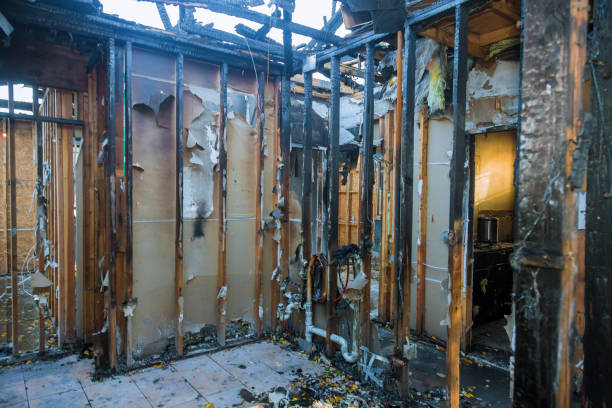 Professional Soot Cleanup technician working in Mims, FL